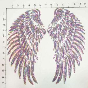 RAINBOW WINGS